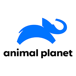Logo de [ES] ANIMAL PLANET