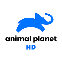 Logo de [ES] ANIMAL PLANET HD