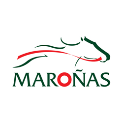 Logo de [ES] MAROÑAS HD