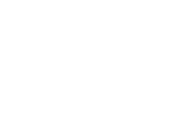 Logo de [EN] Willow Cricket HD