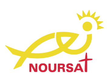 Logo de [INT] NOURSAT (International)