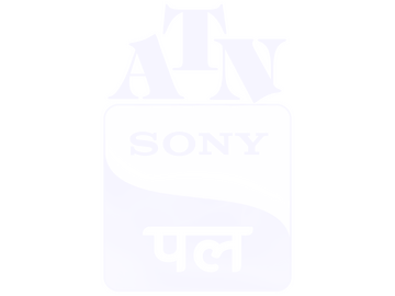 Logo de [INT] Sony Pal