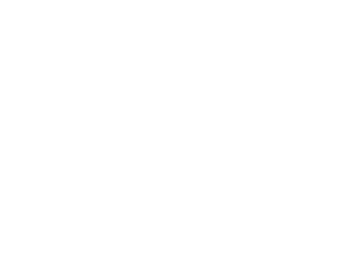 Logo de [INT] NTV1 (Echostar) NTV International Channel Banglad