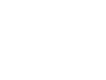 Logo de [EN] NFL Network Alternate 1
